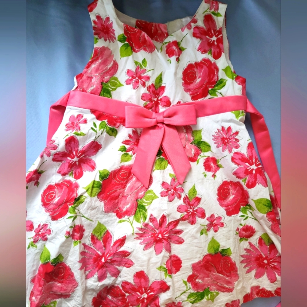 Bonnie Baby Floral Dress